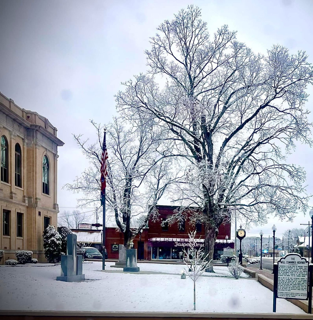 A snowy day on Courthouse Square with Jasper Drugs in the background